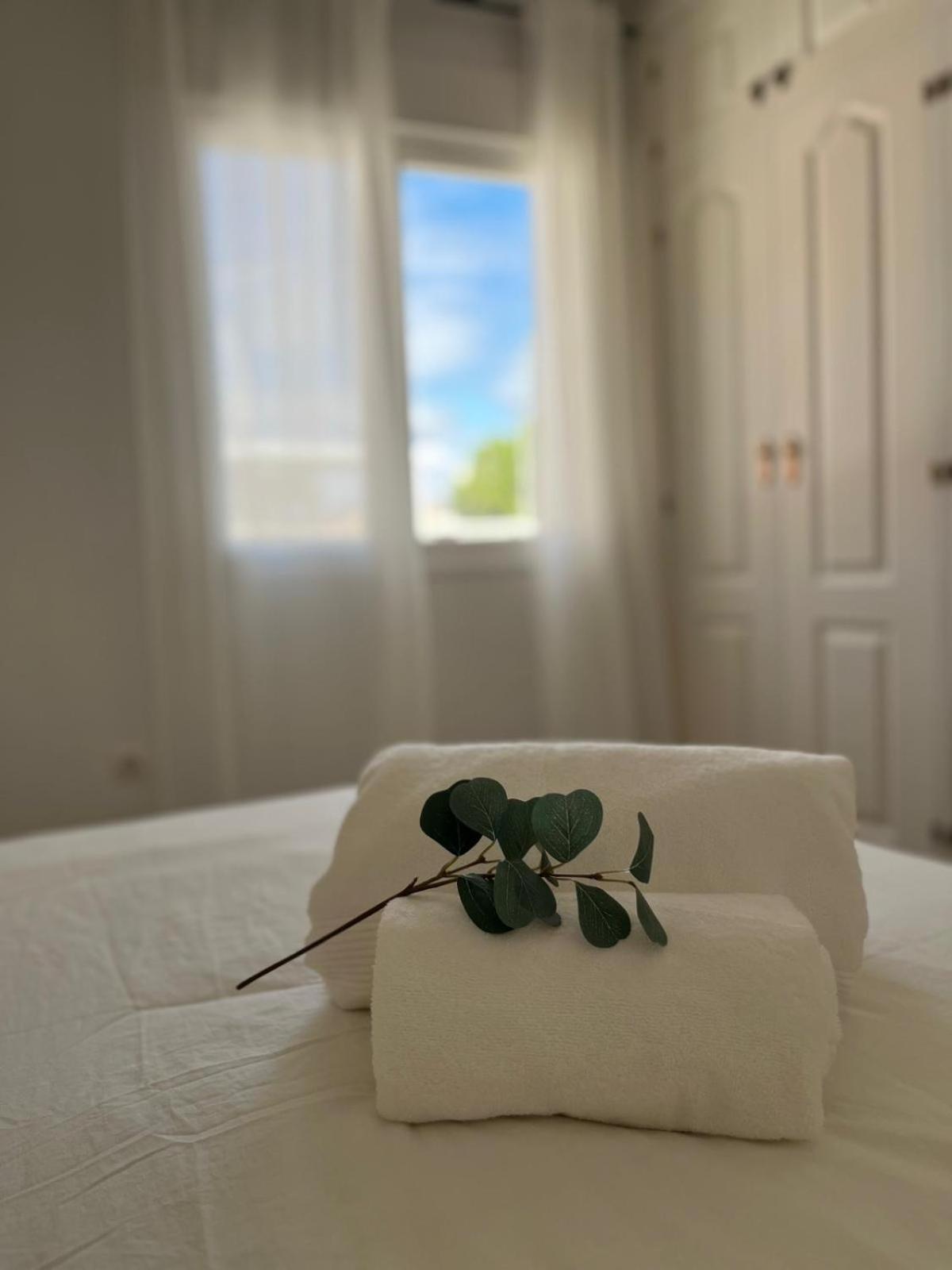 Malaga Prime Location - Stylish Apartment With Free Wifi, Free Parking, Steps From The Historic Center Extérieur photo